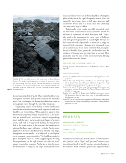 protists - Aquarium of the Pacific