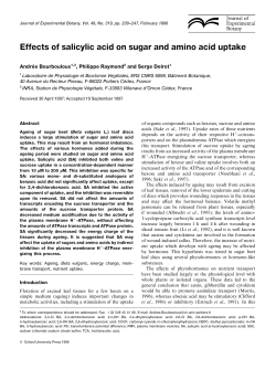 Effects of salicylic acid on sugar and amino acid