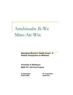 A Holistic Perspective on Wellness. Master of