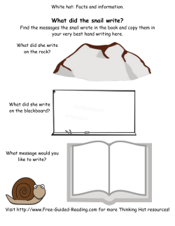 Thinking Hat - The Snail and the Whale