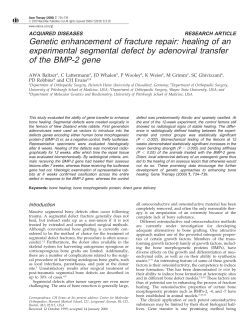 Genetic enhancement of fracture repair: healing of an
