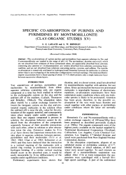 specific co-absorption of purines and pyrimidines by montmorillonite