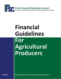 Financial Guidelines for Agricultural Producers