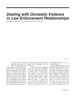 Dealing with Domestic Violence in Law Enforcement Relationships