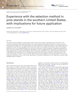 Experience with the selection method in pine