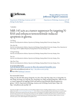 MiR-143 acts as a tumor suppressor by targeting N-RAS