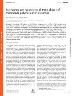 Five factors can reconstitute all three phases of microtubule