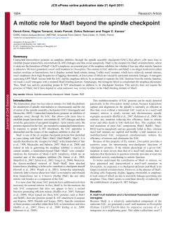 A mitotic role for Mad1 beyond the spindle checkpoint