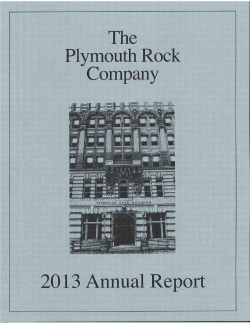 Annual Report 2013 - Plymouth Rock Assurance
