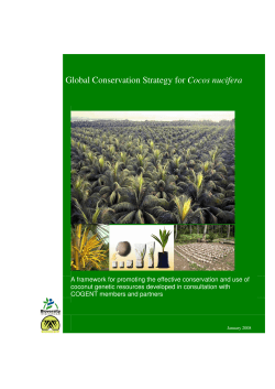 Coconut - Crop Trust