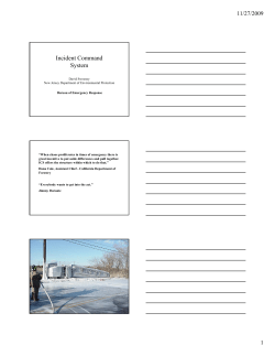 Incident Command System