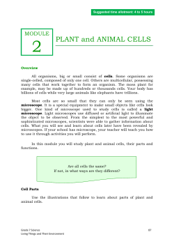 MODULE PLANT And ANIMAL CELLS