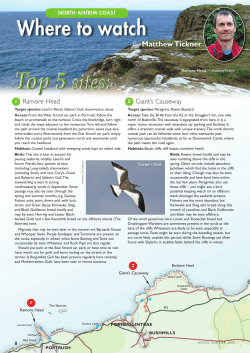 North Antrim - BirdWatch Ireland