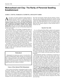 this PDF file - Journals at the University of Arizona