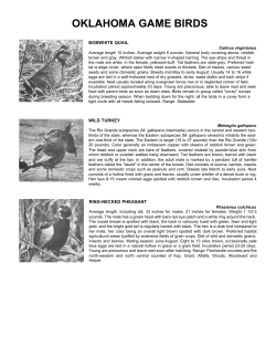 Oklahoma Game Birds - Oklahoma Department of Wildlife