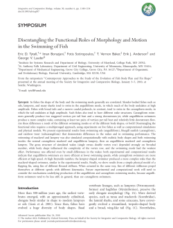 Disentangling the Functional Roles of
