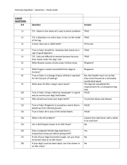 Kentucky Dog Bowl &ndash; Questions &ndash; Study Guide JUNIOR