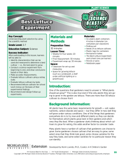 Best Lettuce Experiment - MSU Extension