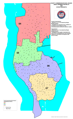 COUNTY COMMISSION/SCHOOL BOARD SINGLE MEMBER
