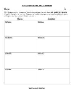 MITOSIS DIAGRAM WORKSHEET