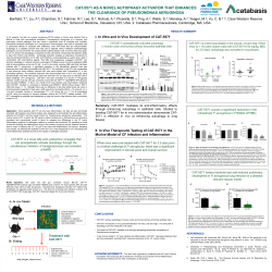 CAT-5571 As a Novel Autophagy Activator That Enhances the