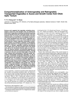 Compartmentalization of anterogradely and retrogradely transported