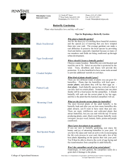 Butterfly Gardening - Penn State Extension