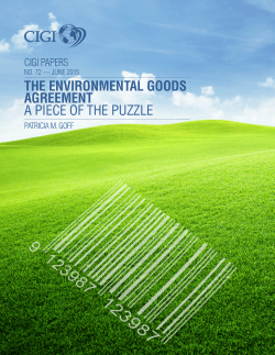 the environmental goods agreement a piece of the puzzle