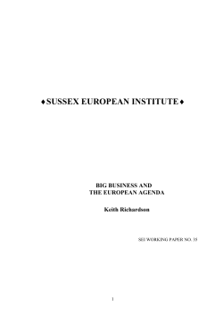 sussex european institute