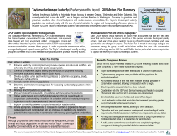 Taylor`s checkerspot butterfly (Euphydryas editha taylori) | 2015
