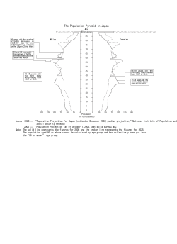 The Population Pyramid in Japan