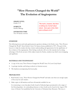 The Evolution of Angiosperms