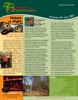 Nature - Chippewa Nature Center