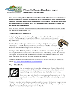 Milkweed for Monarchs Citizen Science program