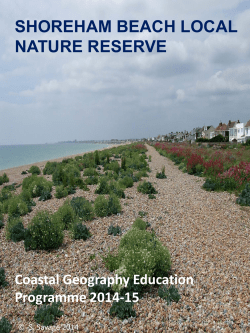 shoreham beach local nature reserve
