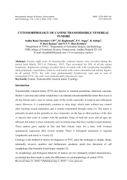 cytomorphology of canine transmissible venereal tumors