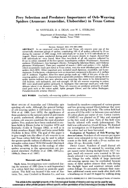 article as pdf-file