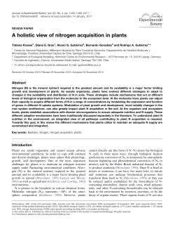 A holistic view of nitrogen acquisition in plants