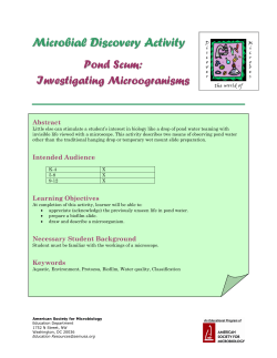 Microbial Discovery Activity - American Society for Microbiology