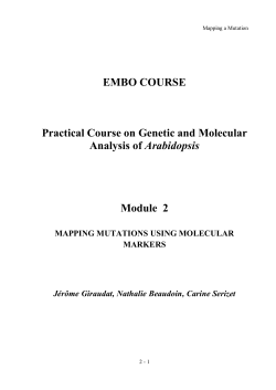 Mapping Mutations Using Molecular Markers.