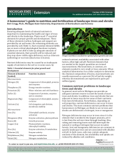 A homeowner`s guide to nutrition and fertilization of landscape trees