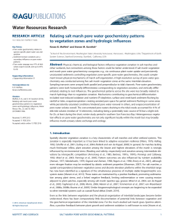 Relating salt marsh pore water geochemistry patterns to vegetation