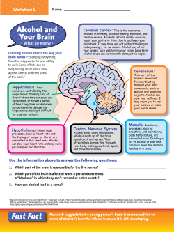 Alcohol and the Brain
