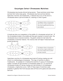 Karyotypes Detect Chromosome Mutations