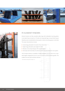 Fe eLeMent FenDeRs - Shibata Fender Team
