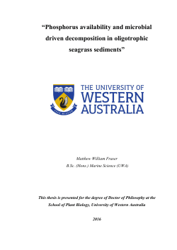 THESIS - DOCTOR OF PHILOSOPHY