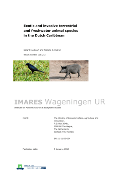 imares - Wageningen UR E-depot