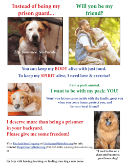 Print this information in PDF