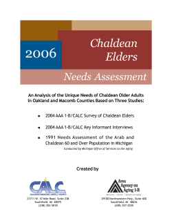 Chaldean report-Final.pmd - Area Agency on Aging 1-B