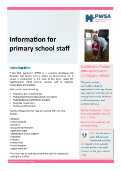Information for primary school staff